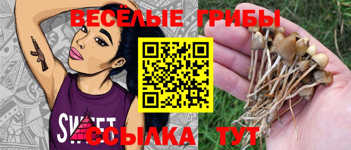 Луга  Галлюциногенные грибы ЛСД  Галлюциногенные грибы мицелий  Вход с VPN 