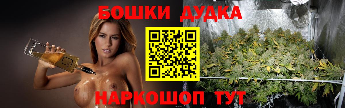 Канабис план Луга